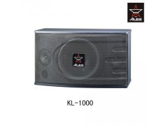 ALES专业KTV/卡拉OK全频音响 提升娱乐体验的理想选择